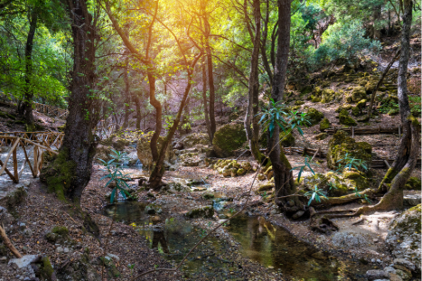 Η κοιλάδα των πεταλούδων: μια μαγική εμπειρία στη Ρόδο